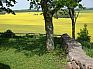 2009_05_Buga Schwerin und Dahmen 839.jpg